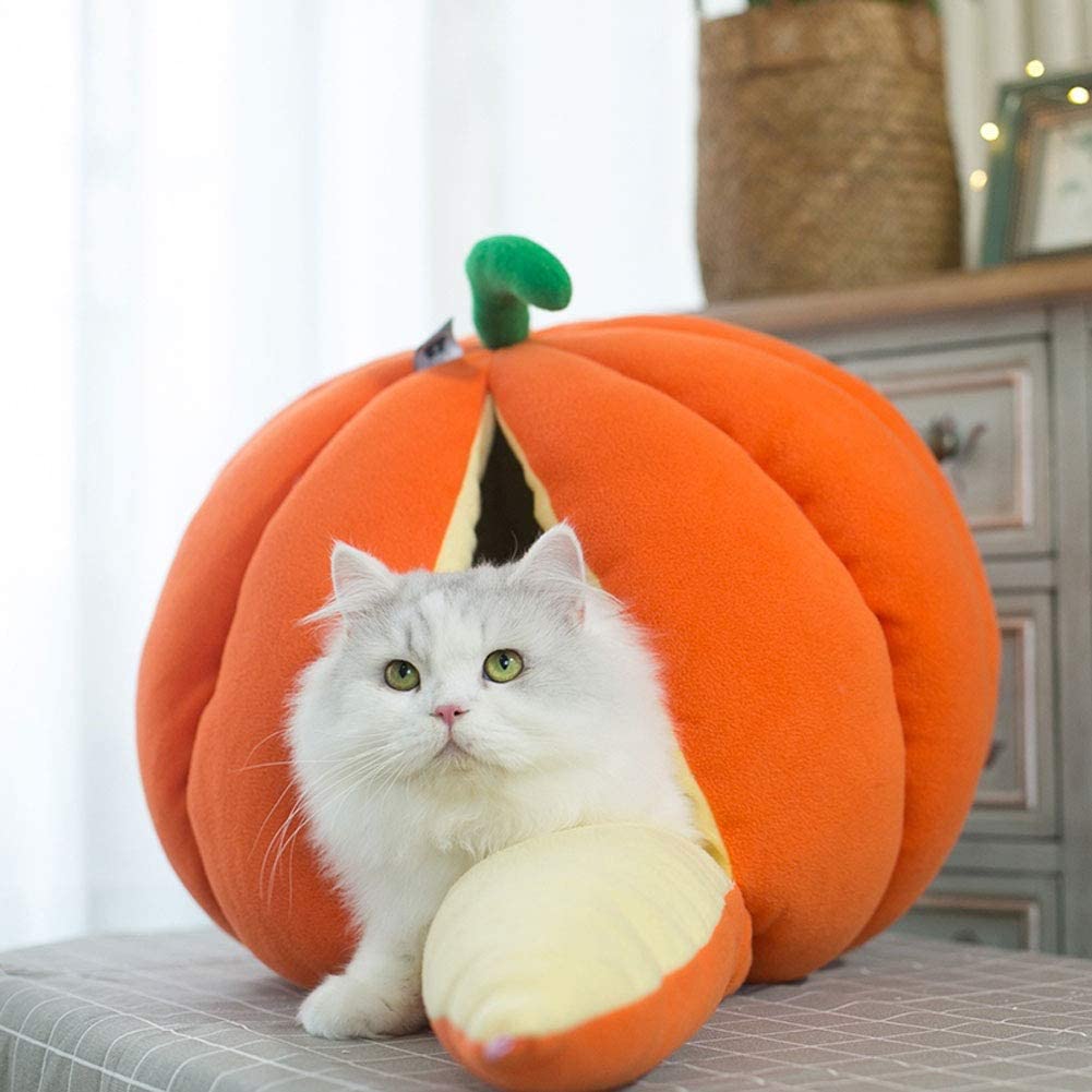 Giant Pumpkin Cat bed