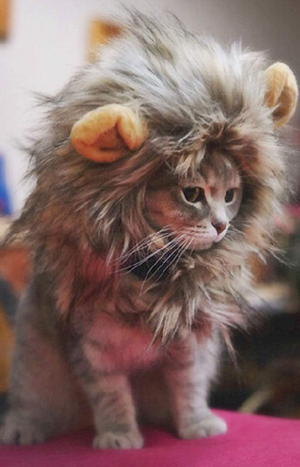 Lion Mane Cat Wigs For Halloween