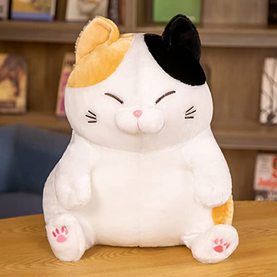 Fatty Cat Squishmallow Pillow
