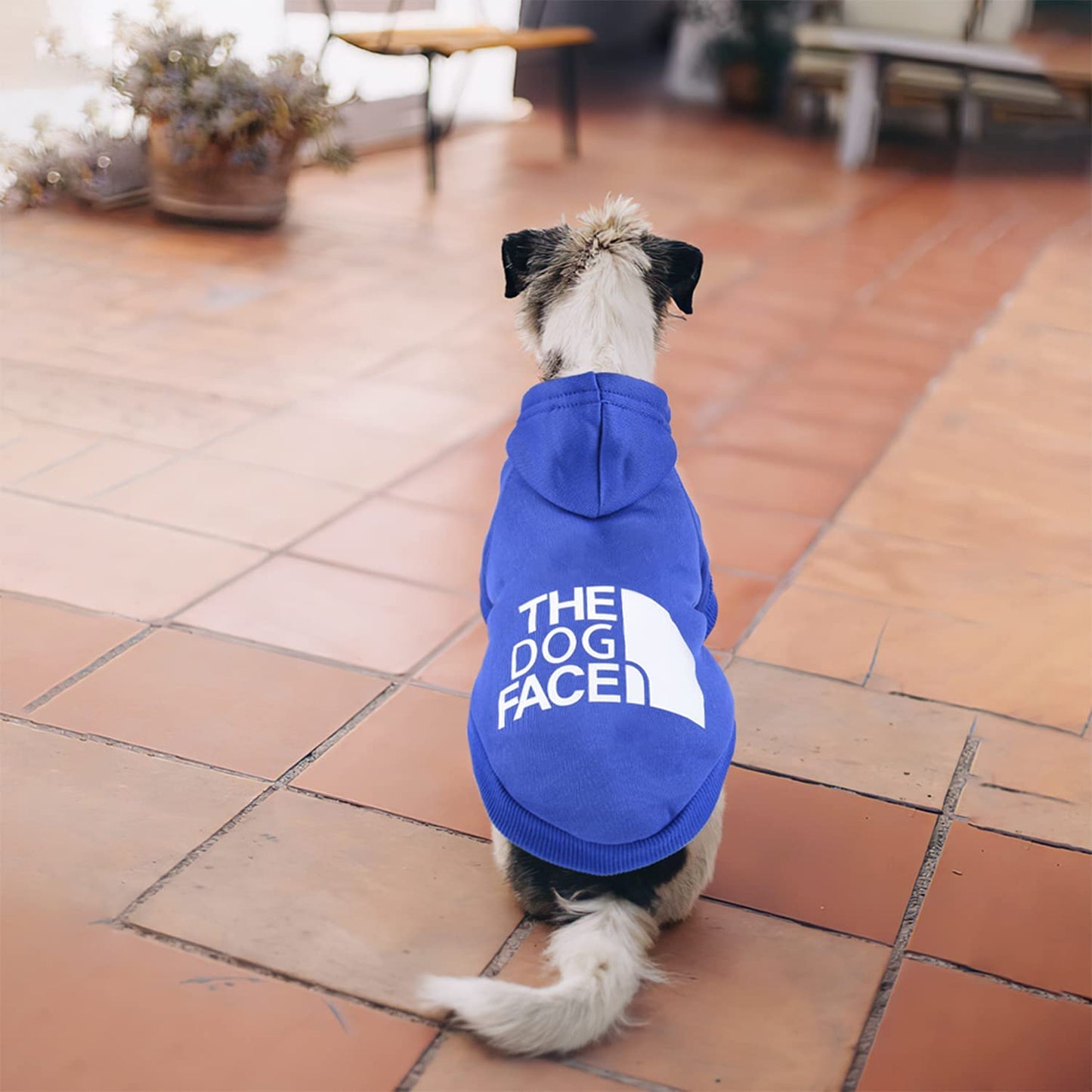 The Dog Face™ Winter Dog Hoodie