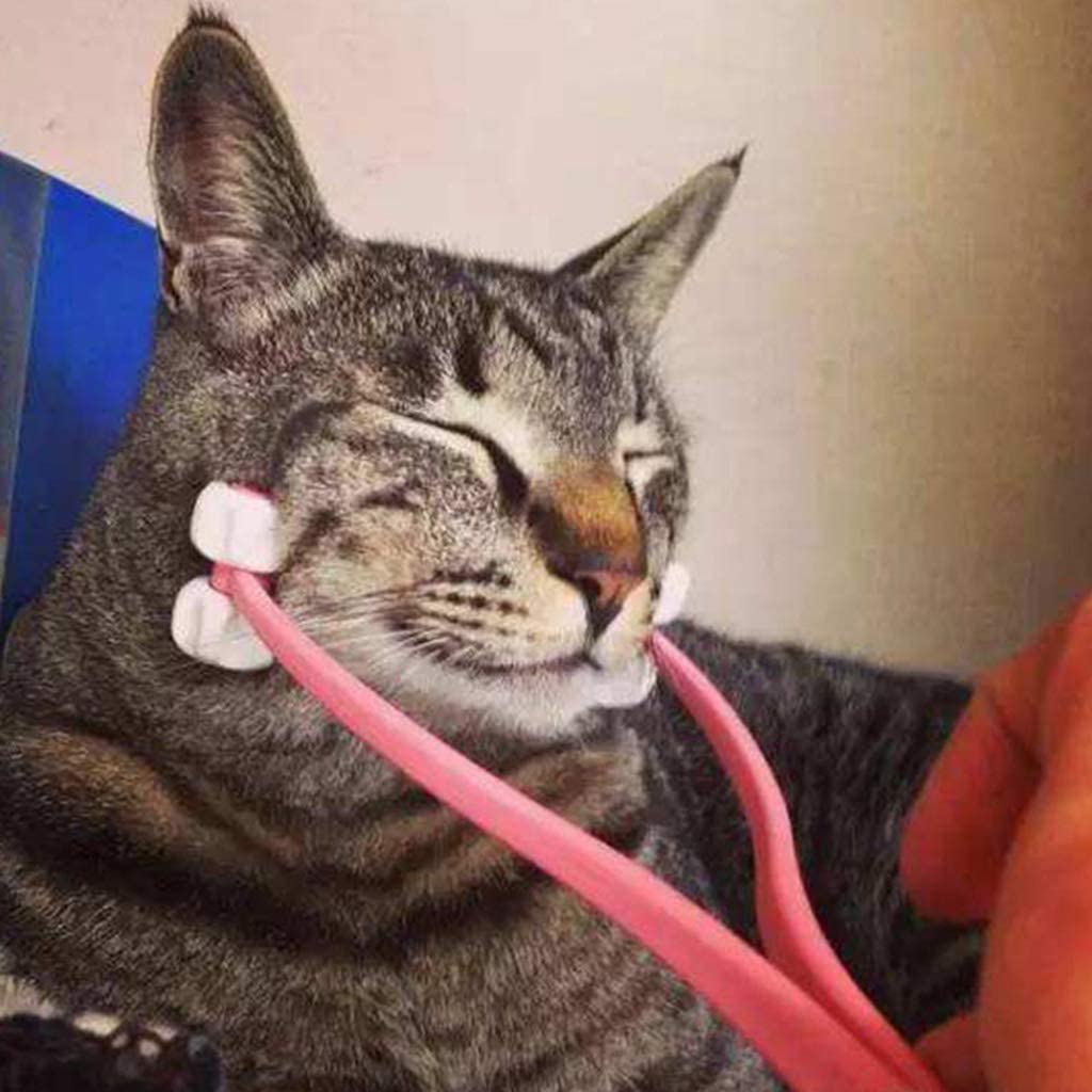 Cat Face Massager