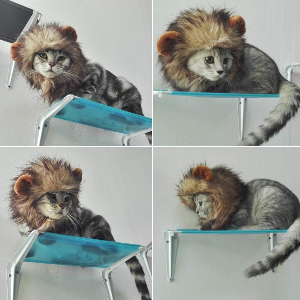 Lion Mane Cat Wigs For Halloween