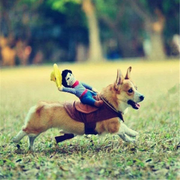 Cowboy Rider Dog Halloween Costume