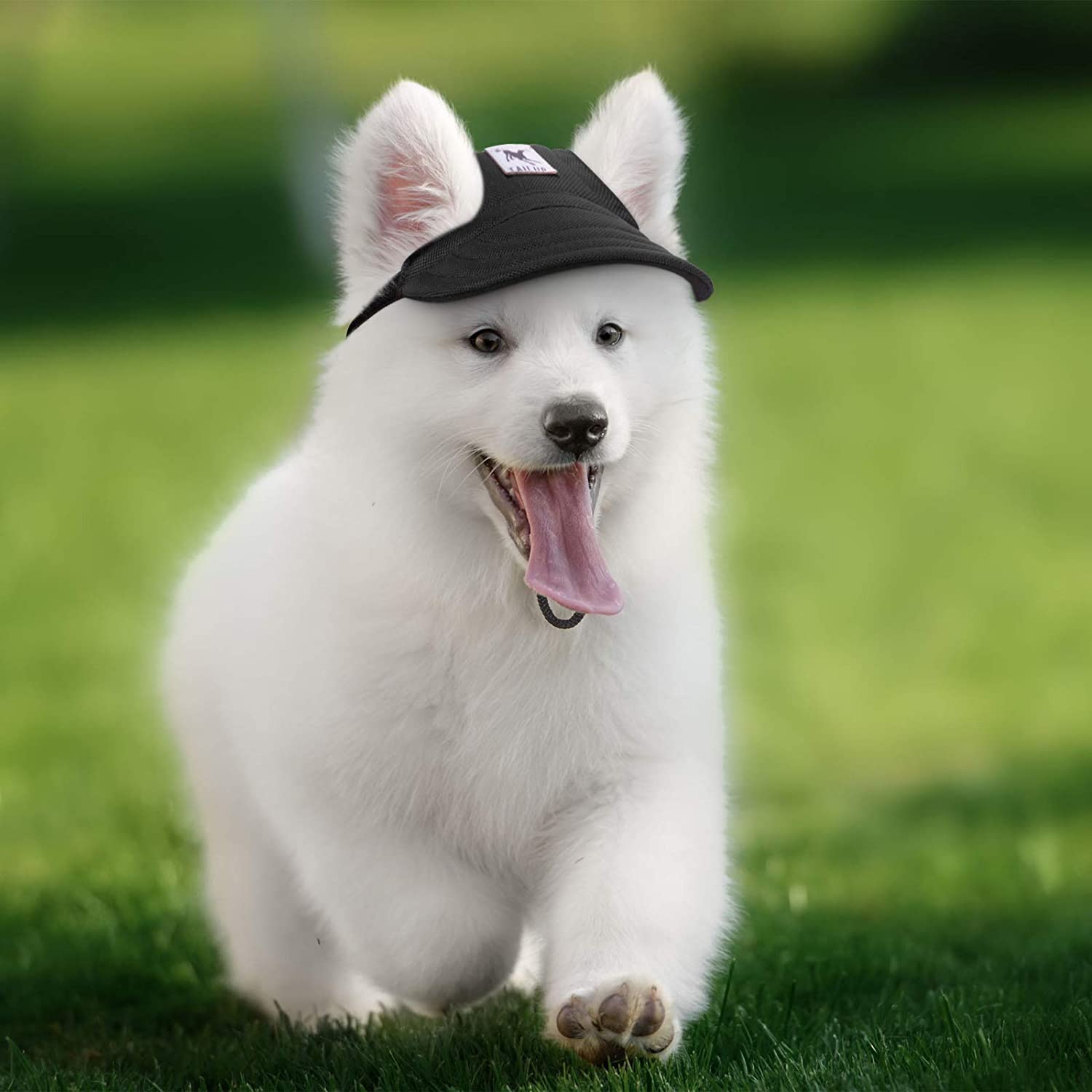Baseball Cap Doggo™ Visor Hat