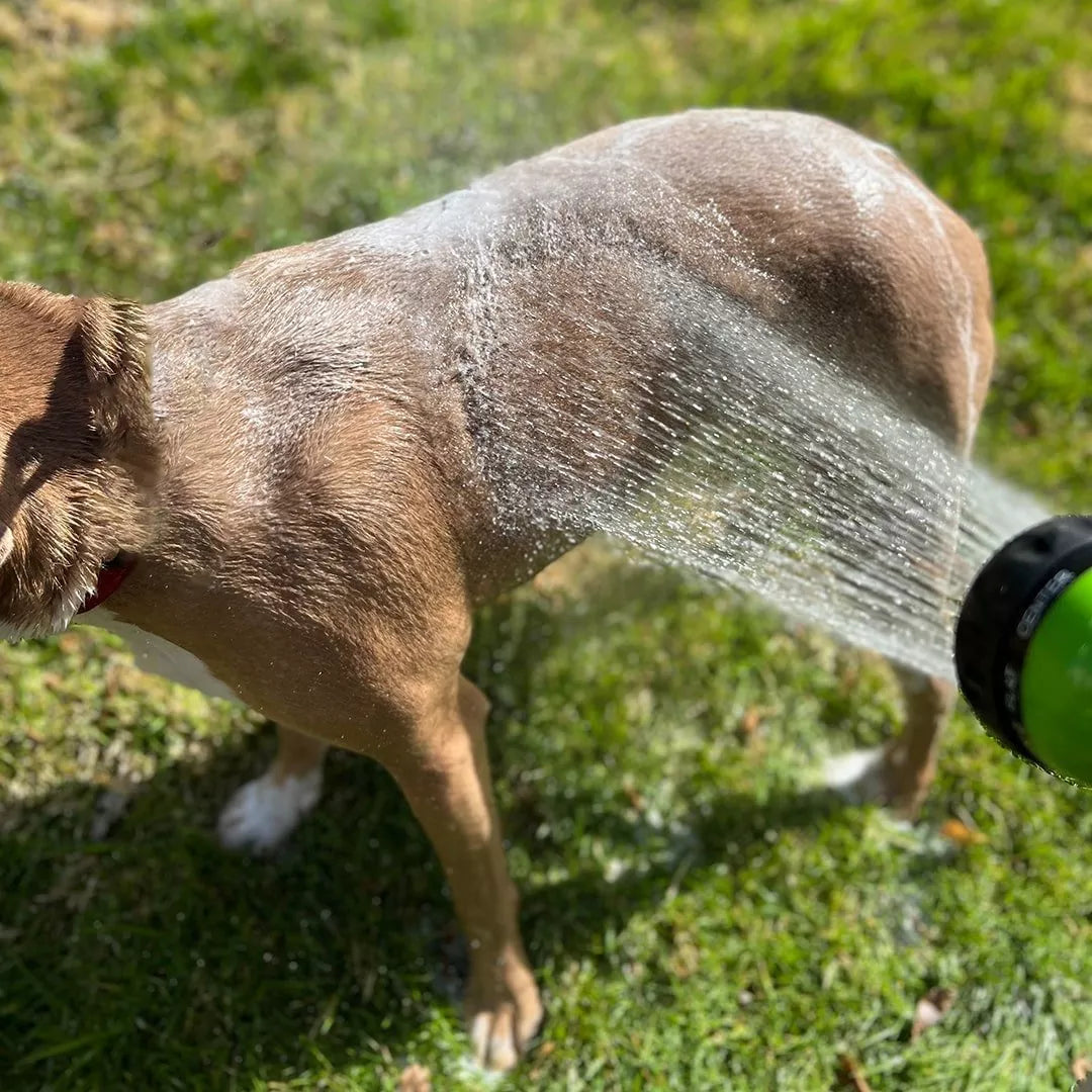 The Pup Spray Jet