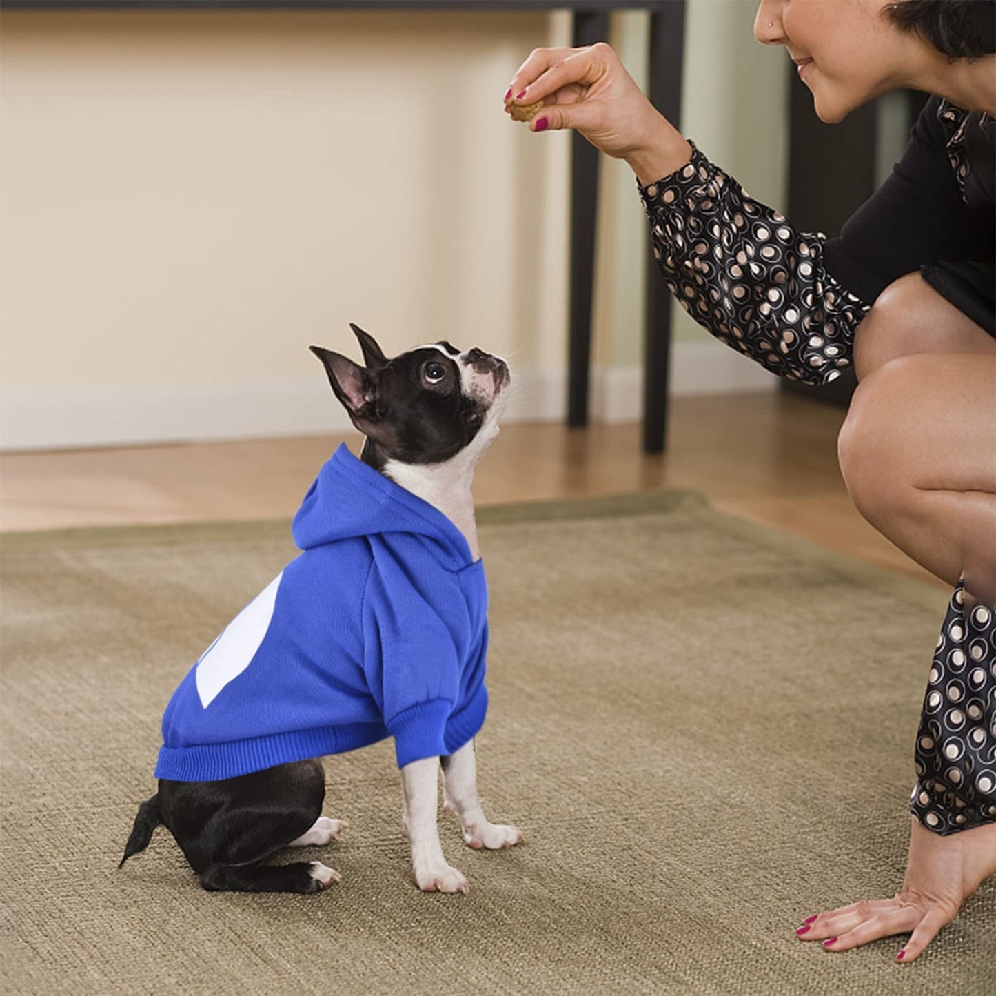 The Dog Face™ Winter Dog Hoodie