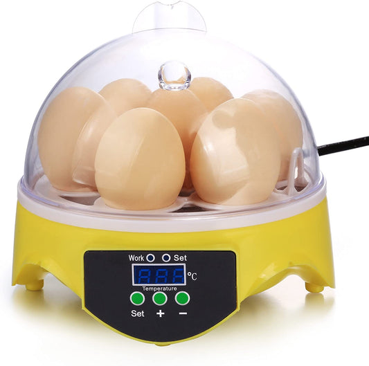 Egg Incubator