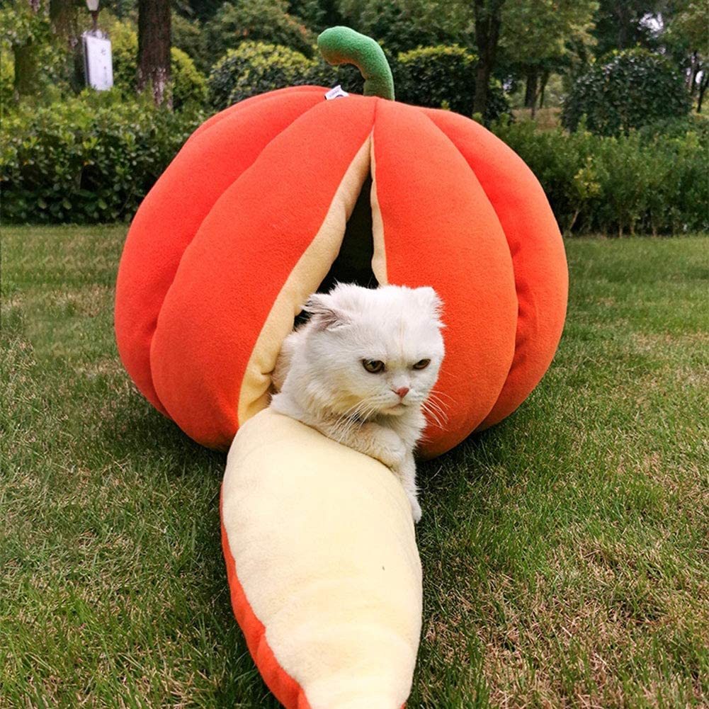 Giant Pumpkin Cat bed