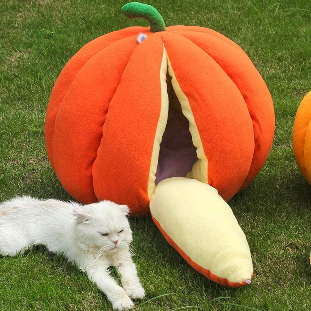 Giant Pumpkin Cat bed