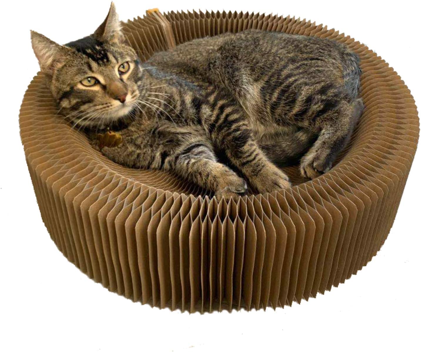 Cat Scratcher Lounger Accordion Bed