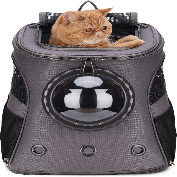 Large Cat Bubble Backpack
