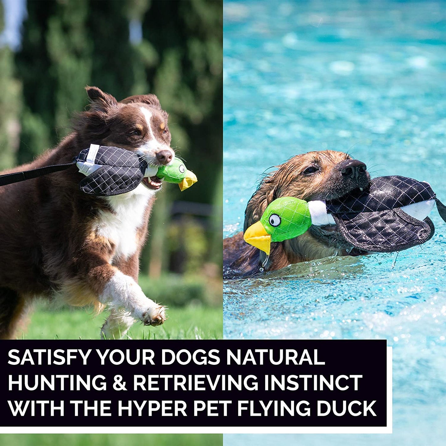 Flying Duck Sling Shot Interactive Dog Toy