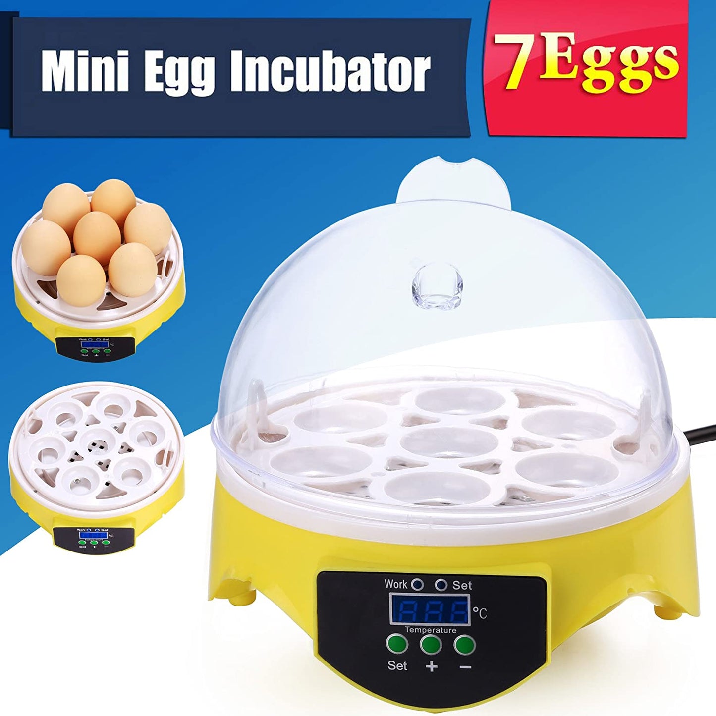 Egg Incubator