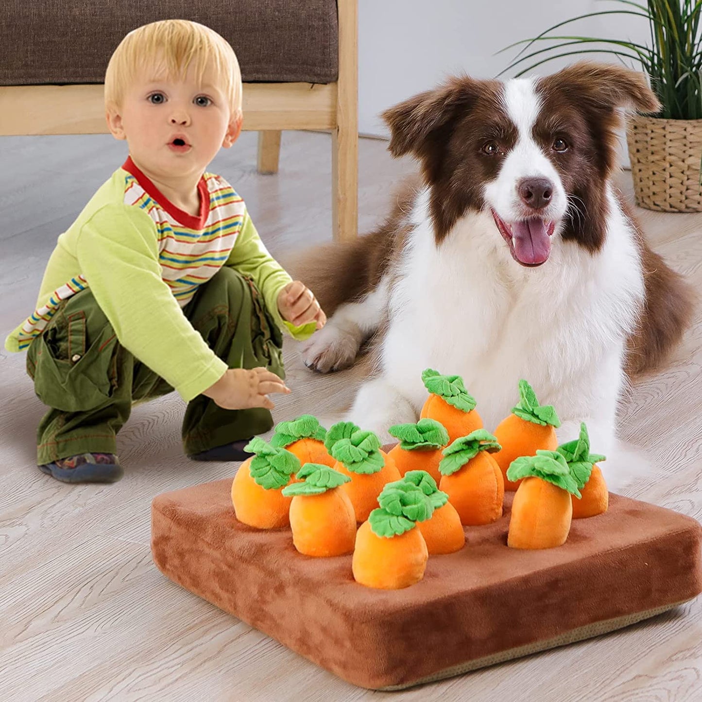 Dog Carrot Farm Toy