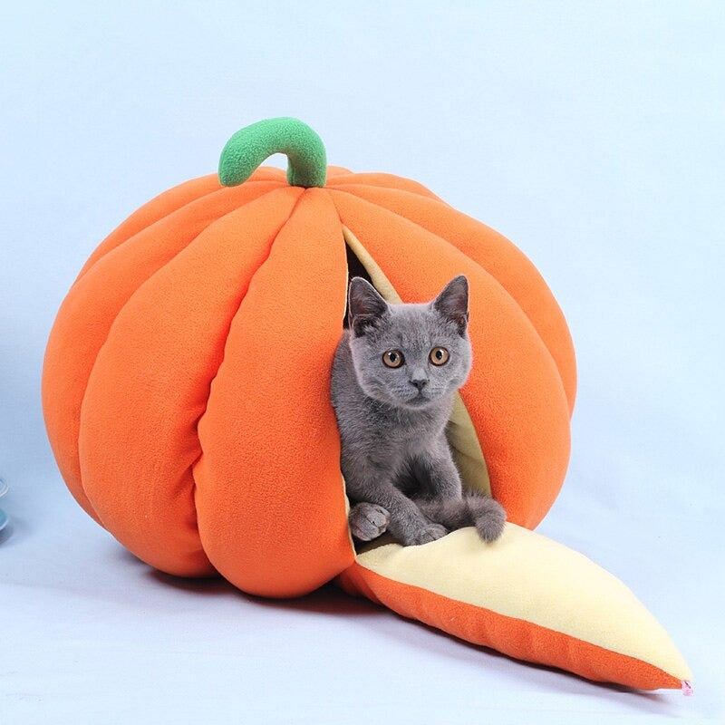 Giant Pumpkin Cat bed