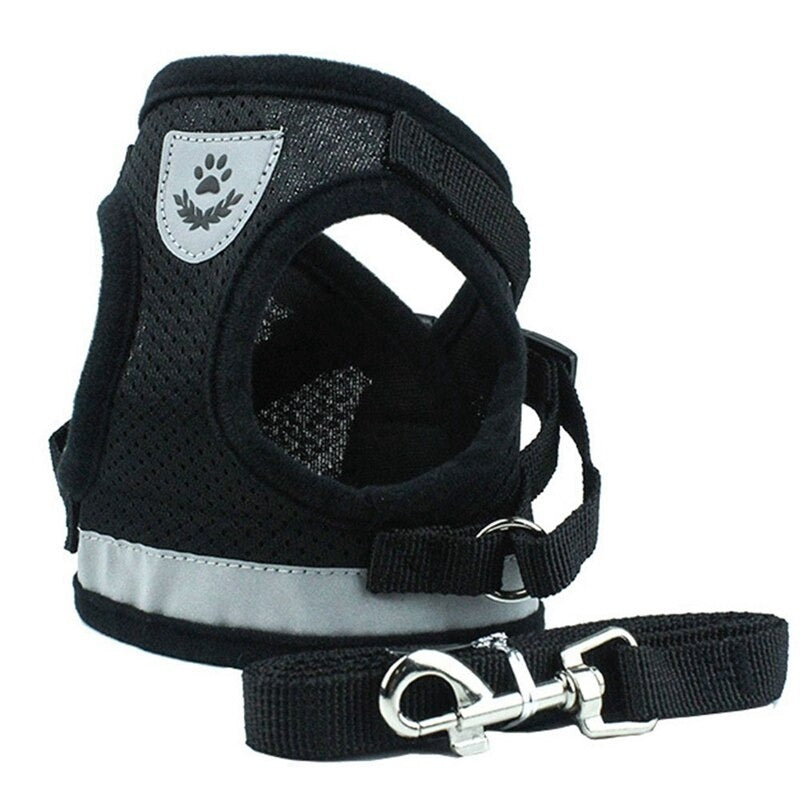 Cat Harness Leash Set