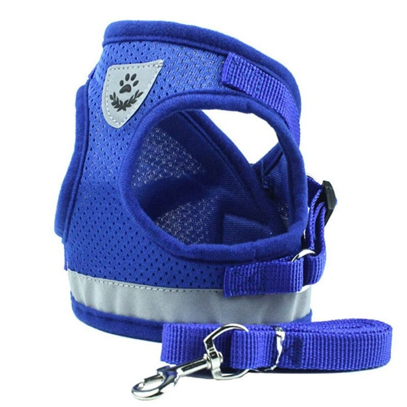 Cat Harness Leash Set