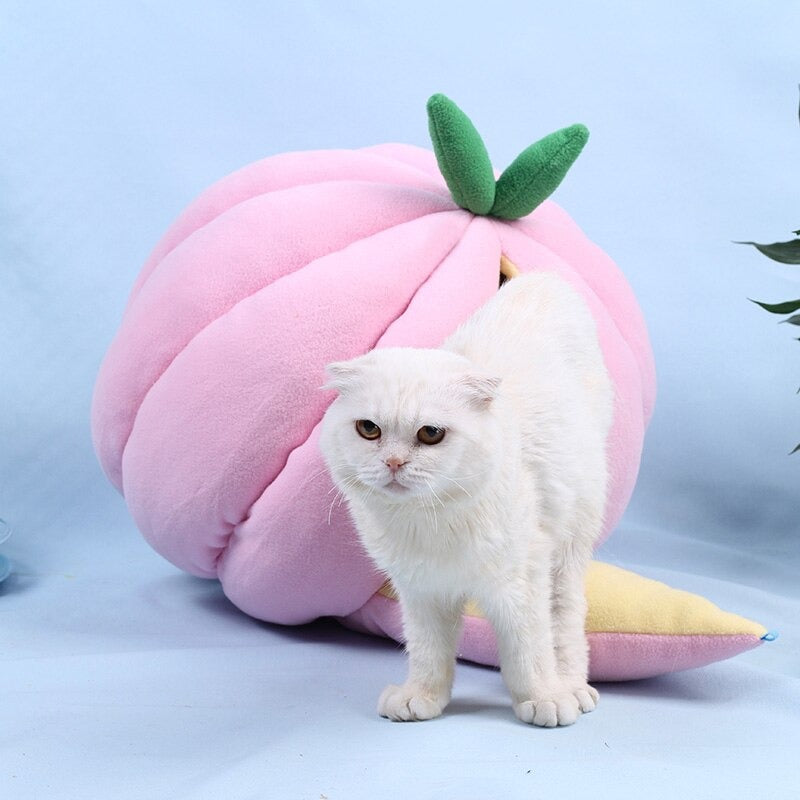 Giant Pumpkin Cat bed