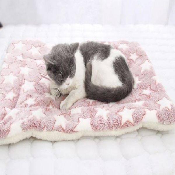 Comfy Cat Blanket