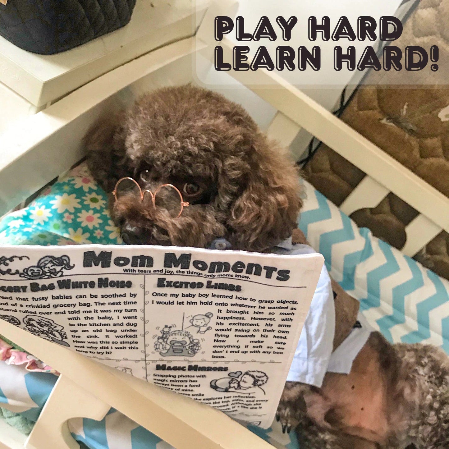 Squeaky Interactive Newspaper Dog Toy