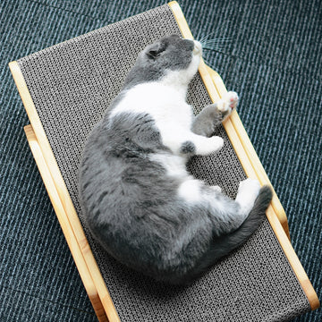 Multi Function Cat Scratching Board Bed