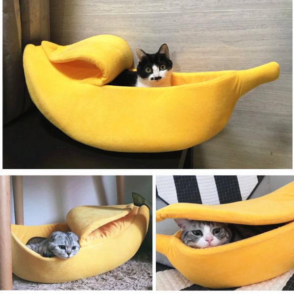 Banana Cat Bed
