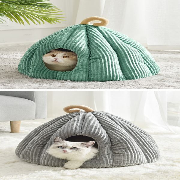 Cozy Pumpkin Cat bed