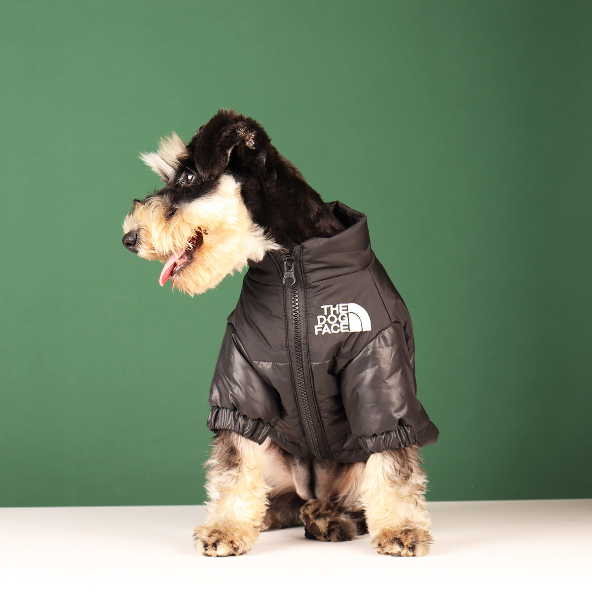 The north face hot sale dog jacket