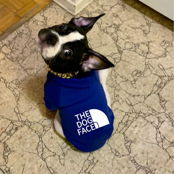 The Dog Face™ Winter Dog Hoodie