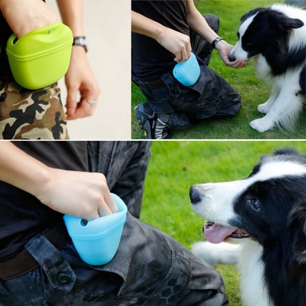Portable Dog Treat Pouch