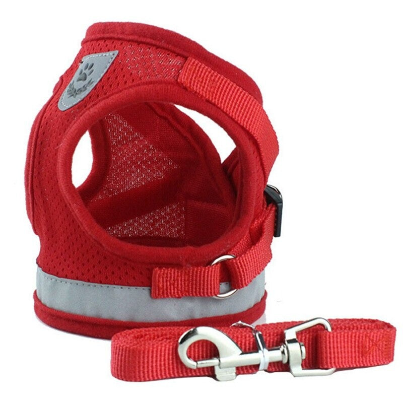 Cat Harness Leash Set