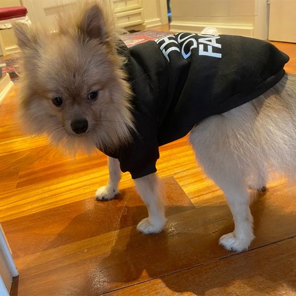 The Dog Face™ Winter Dog Hoodie