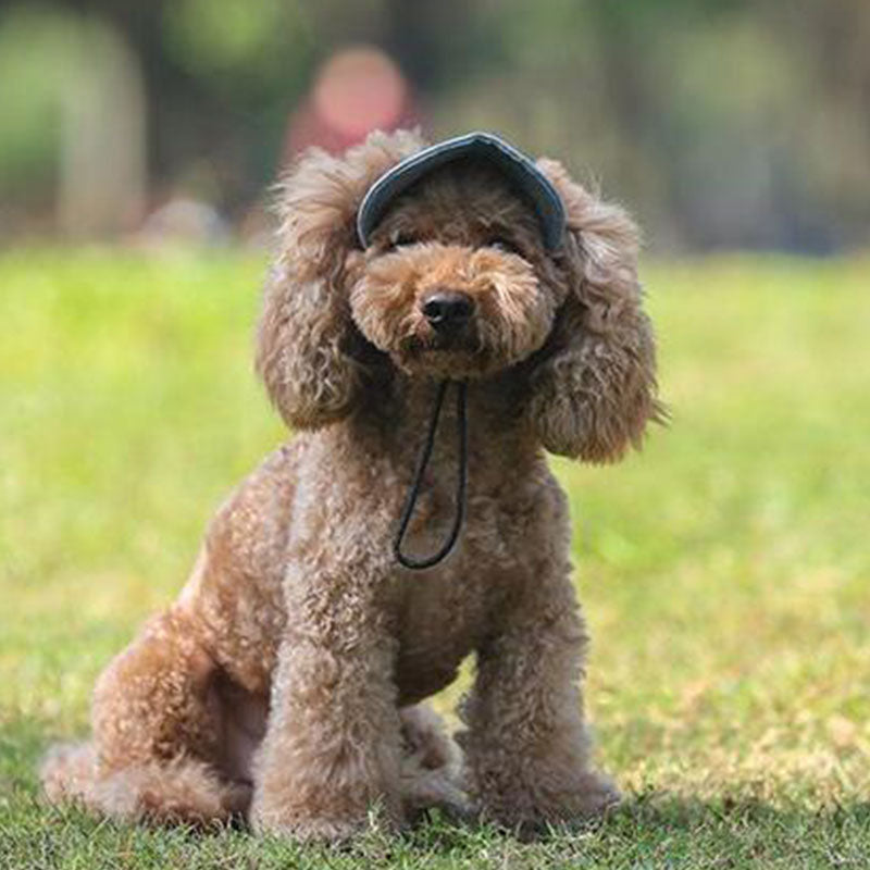 Doggo™ Cap Visor Hat