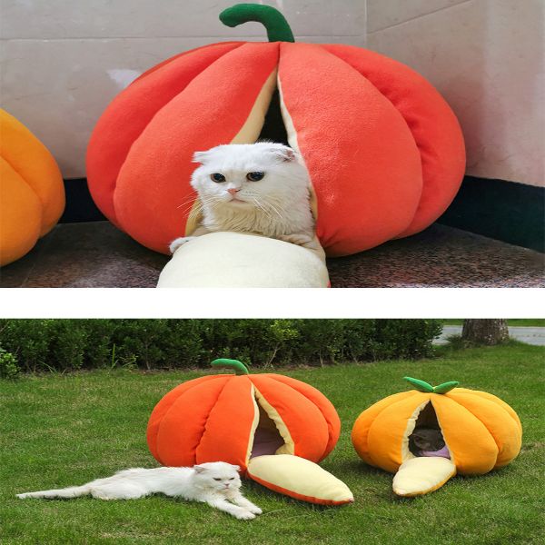 Giant Pumpkin Cat bed