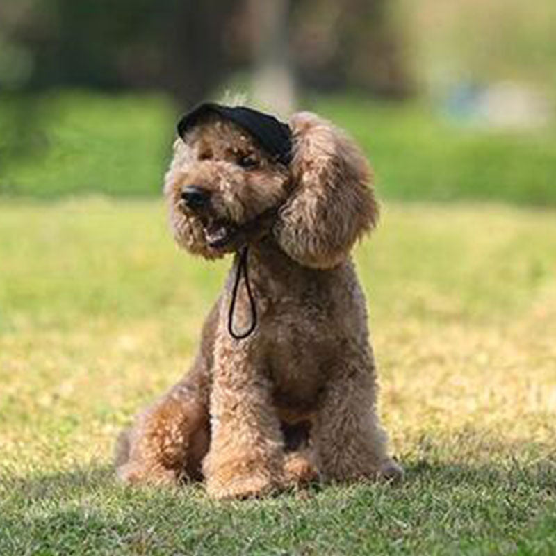 Doggo™ Cap Visor Hat