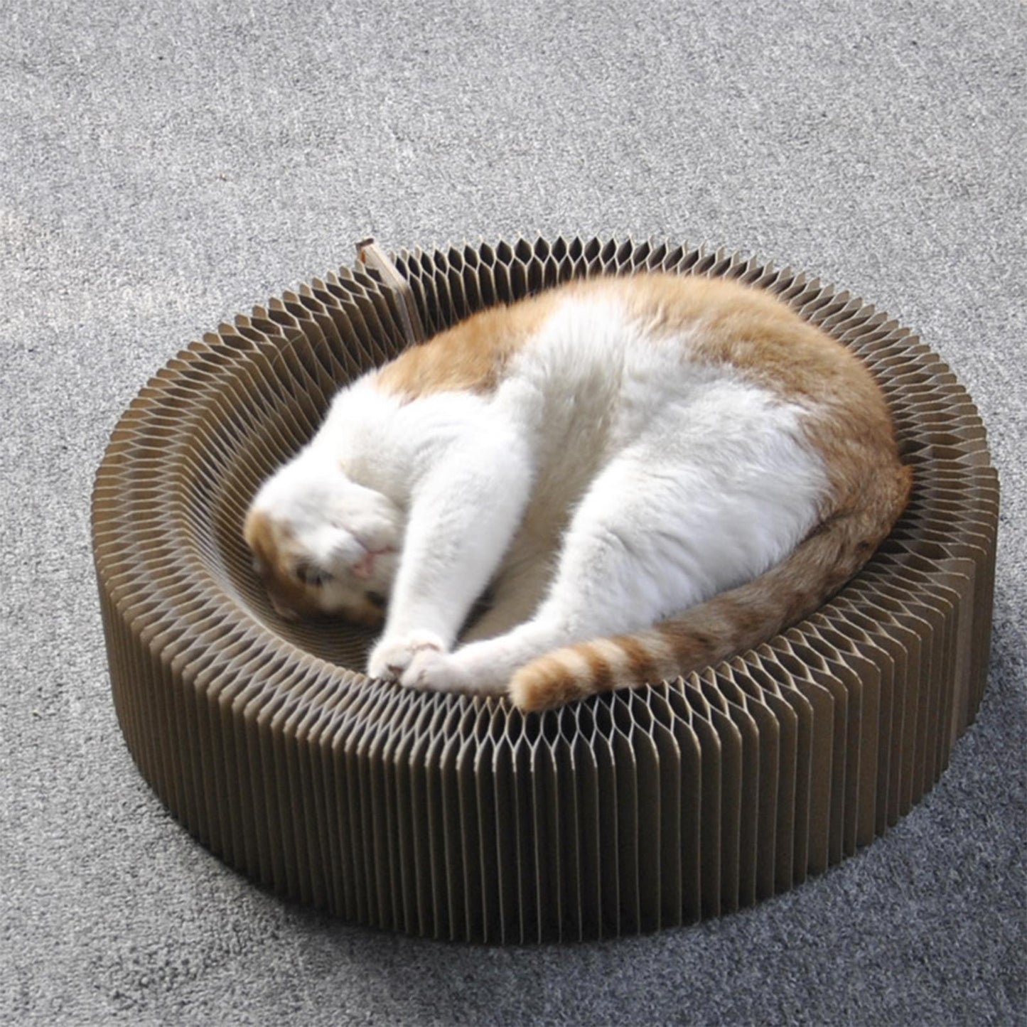 Cat Scratcher Lounger Accordion Bed