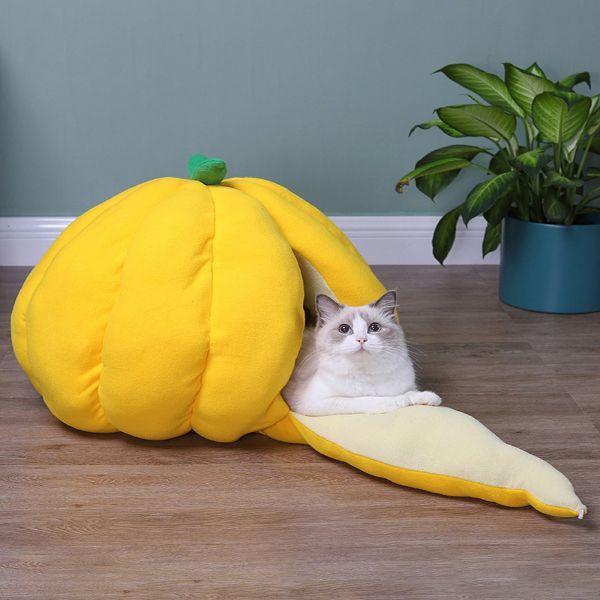 Giant Pumpkin Cat bed