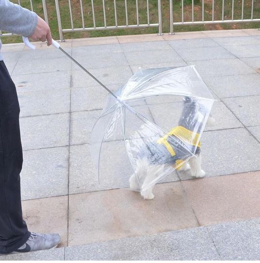 Transparent Dog Umbrella