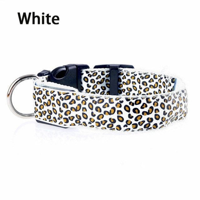 Leopard Deisgn LED Dog Collar