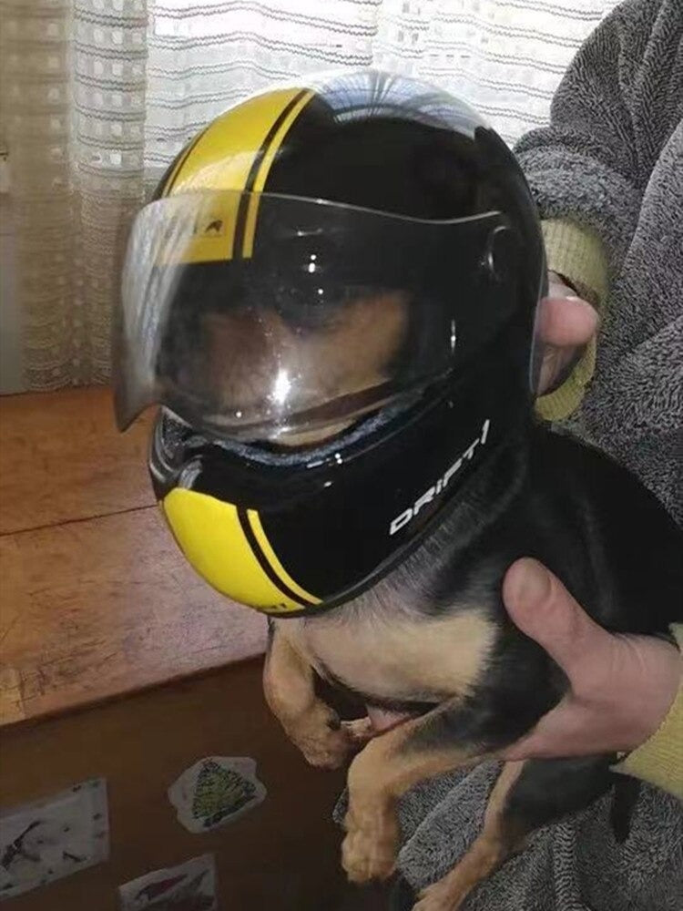 Shogu Pet Mini Helmet