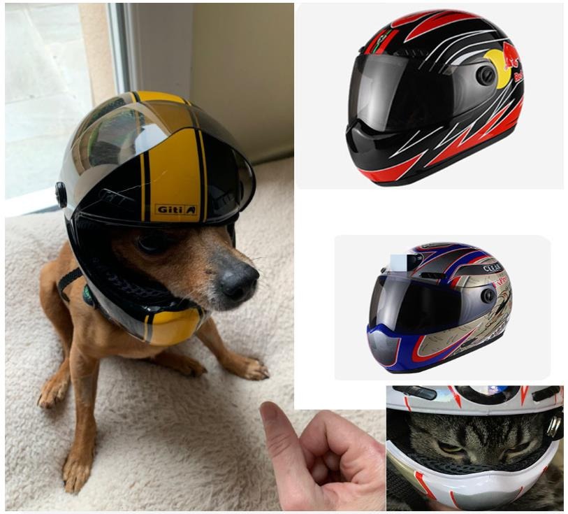 Shogu Pet Mini Helmet