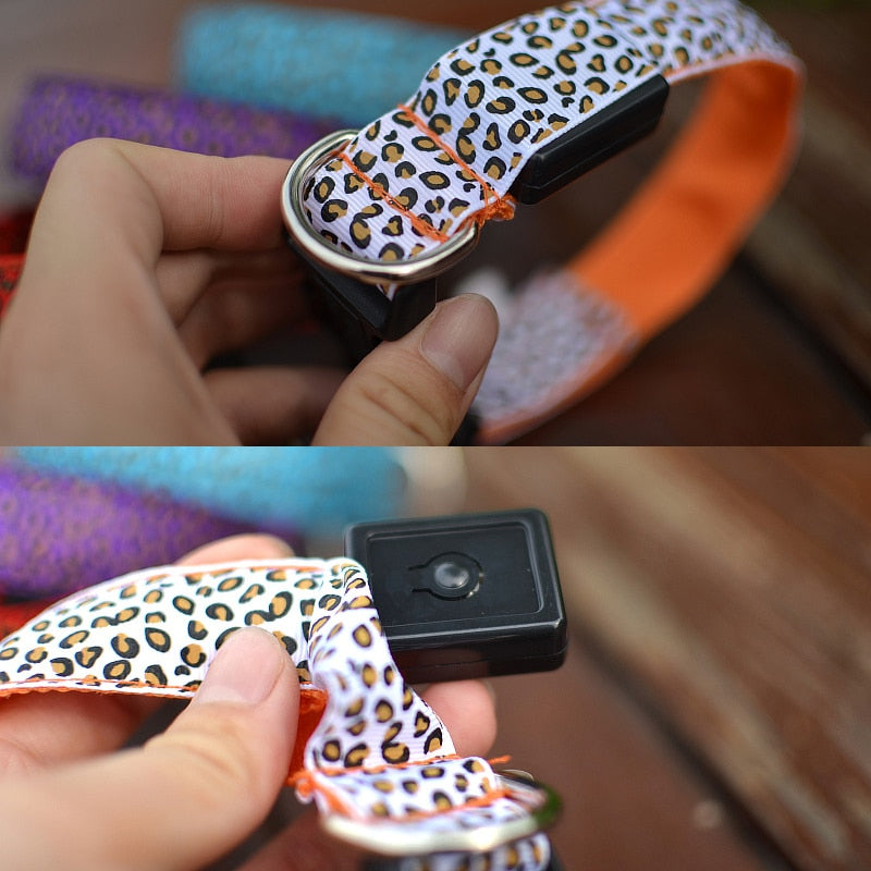 Leopard Deisgn LED Dog Collar