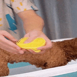 Dog Shampoo Dispenser Brush ( $8.66 ONLY)