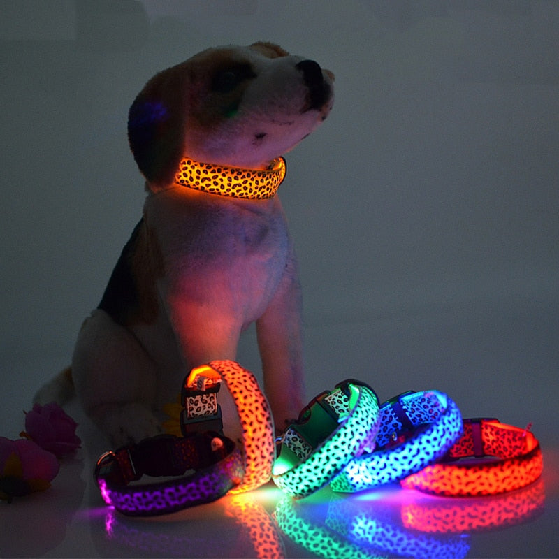 Leopard Deisgn LED Dog Collar