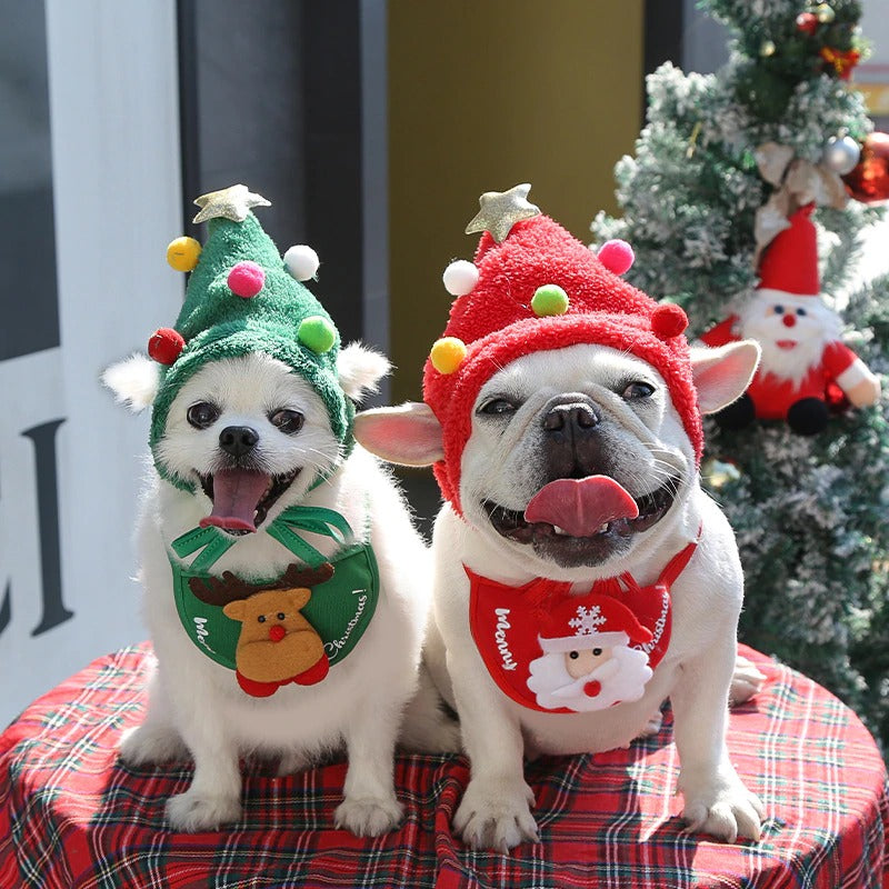 Funny Christmas Cat Costume