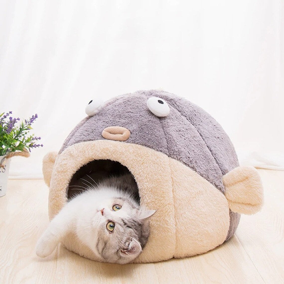 Kawaii Fish Cat Bed