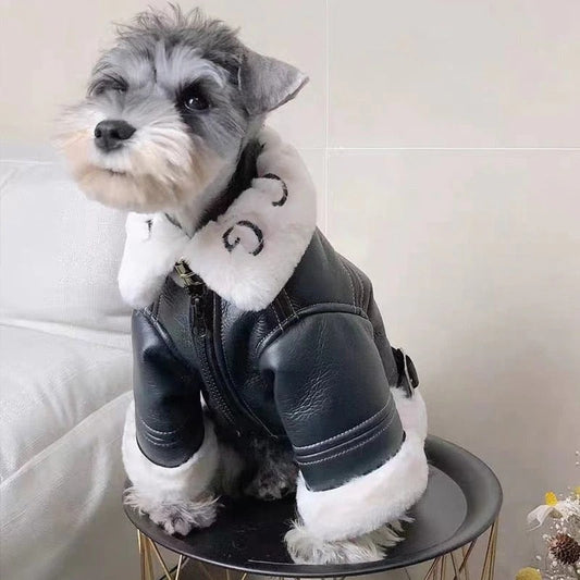 Premium Dog Leather Motorcycle Jacket