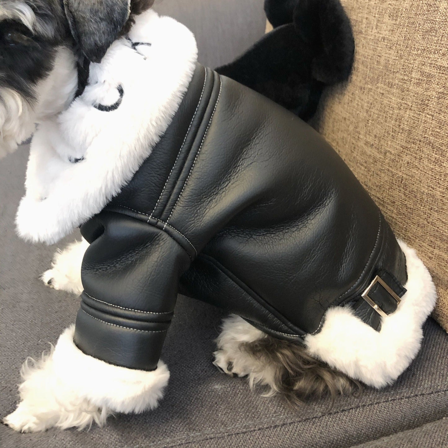 Premium Dog Leather Motorcycle Jacket